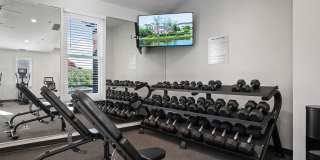 Versailles on the Lakes Schaumburg Gallery 28