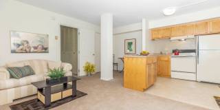 Northwood Gallery 19