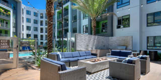 The Lex The Lex Gallery 41