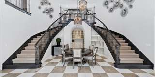 102 Orchid Gallery 8