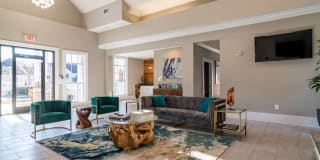 Evergreen Terrace Gallery 24