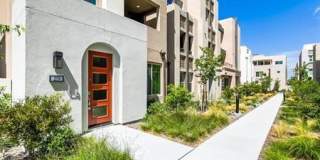 177 Carmine - 1 Gallery 1