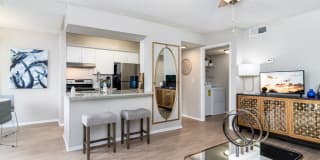 Vantage on Hillsborough Apartments Gallery 6