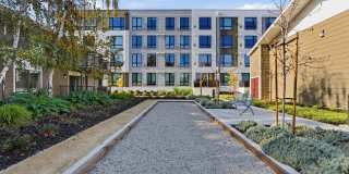 Lorien Ivy Apartments Gallery 42