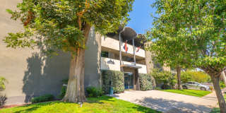 271 Parke St. Gallery 25