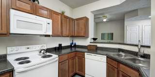 Autumn Chase Gallery 1