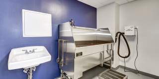 The Mark Alexandria Gallery 32