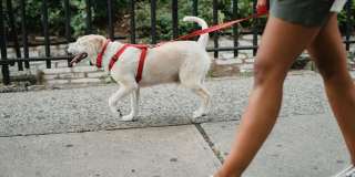 787 The Alameda - Affordable Housing Gallery 13