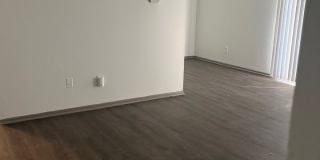 The BEDFORD Gallery 14