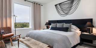 Starlight Gallery 11