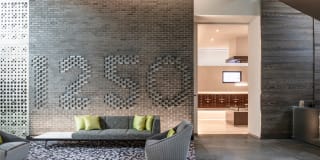 The Kelvin Gallery 43