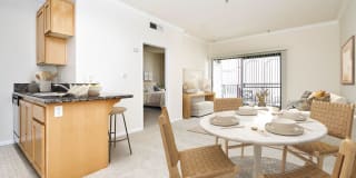 The Orsini Gallery 70