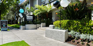 The Madrid Gallery 20