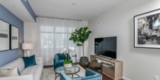 The Yard at Ivanhoe Gallery 36