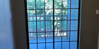 AV Gallery 21