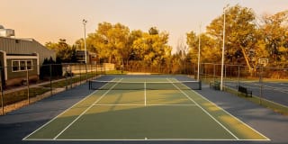 Aspen Ridge Gallery 11