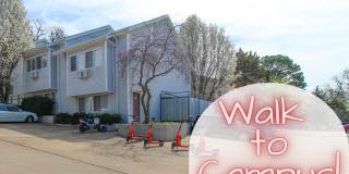 1011 North Molly Court Gallery 18