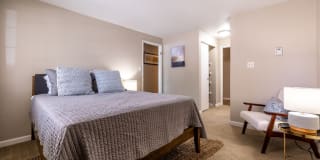 The Seasons Gallery 11