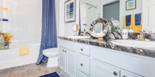 Ariel Springs Gallery 70