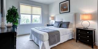 Riverwalk on Main Gallery 16