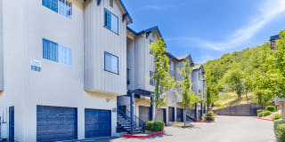 Crooked Oak Gallery 26