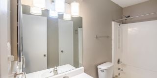Athena Athena Gallery 37