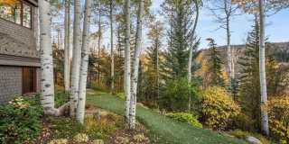 342 Ridge Road Gallery 39