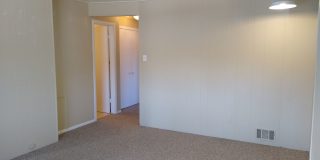 Highlands 1 Bedroom 1 Bath w/ Yard and Laundry! Gallery 71