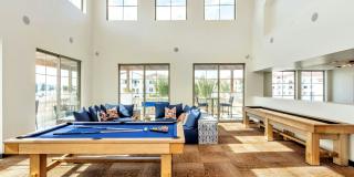 Arista at Ocotillo by Mark-Taylor Gallery 14