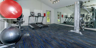 Harbor Walk Gallery 12