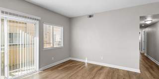 Avery at TownCentre Gallery 170