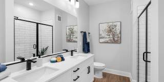 The James at Springline Gallery 4