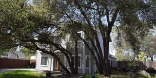 3430 Rachel Court Gallery 1