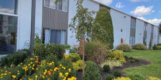 Royal Arms of Green Hills Gallery 11