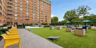 Potomac Towers Gallery 13