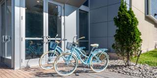 Indigo 19 Gallery 28