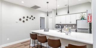 The Berryessa Gallery 26