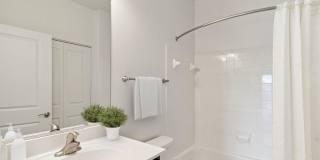 Windsor Commons Gallery 12