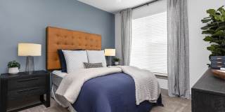 The Steadman Apartments Gallery 16