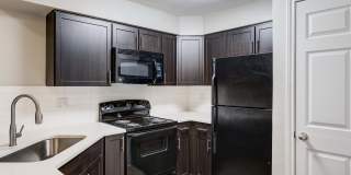 Avana Belmar Gallery 9