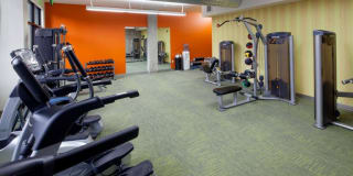 The Wilmore Gallery 24