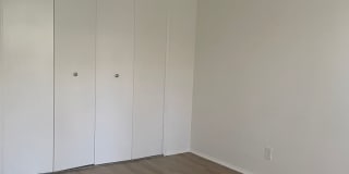 Elm 320 Gallery 11