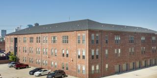 Thrive Argenta Gallery 3