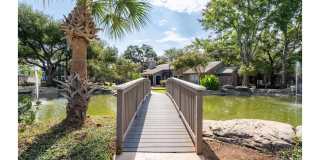 Walden Lakes Gallery 37