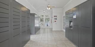 Willow Lake Gallery 23