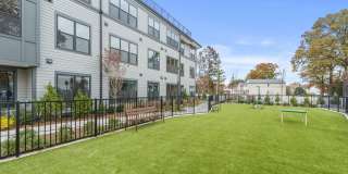 Canter Green Gallery 51