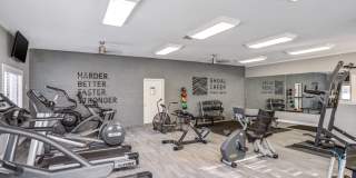 Shoal Creek Gallery 15