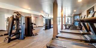 Axis Oakland Gallery 55