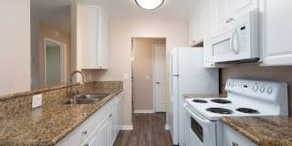 Volterra at La Mesa Gallery 84