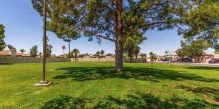 4760 W WAHALLA Lane Gallery 60